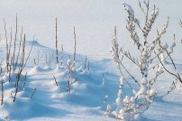 Outdoor Sitzsäcke richtig überwintern