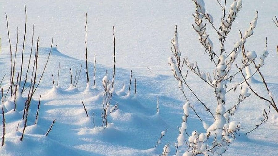 Sitzsäcke und Winter - kein Problem wenn es richtig gemacht wird!